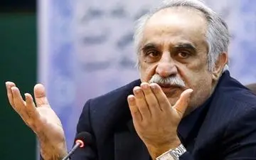 وزیر اقتصاد: قصد بازگشت به دولت را ندارم