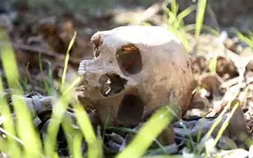 قتل عام کودکان به دست داعش در حویجه عراق + فیلم