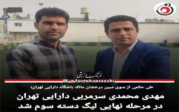 مهدی محمدی سرمربی دارایی تهران شد