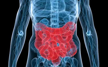 ۷ توصیه برای بهبود سلامت روده‌ها