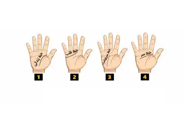 روانشناسی زندگی؛ پیشگویی آینده با نگاه به خطوط کف دست
