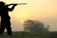 دستگیری شکارچیان گراز در ایلام