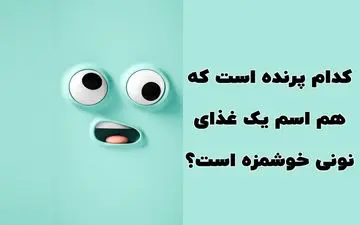  کدام پرنده است که هم اسم یک غذای نونی خوشمزه است؟| سرگرمی