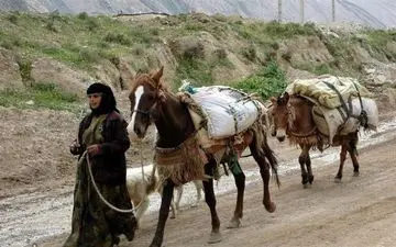 
عشایر کرمانشاه آهنگ کوچ نواختند