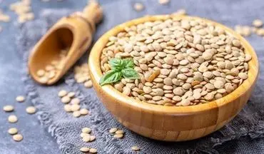 خواص باورنکردنی عدس برای مو/ روش‌های مصرف عدس برای تاثیرگذاری بهتر بر مو
