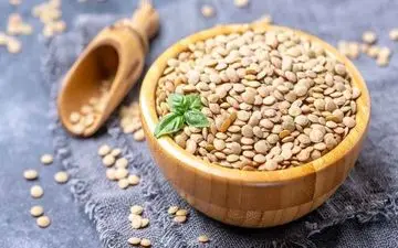 خواص باورنکردنی عدس برای مو/ روش‌های مصرف عدس برای تاثیرگذاری بهتر بر مو