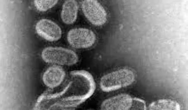 موج جدید آنفلوانزا با سرایت بالا در راه است ! 