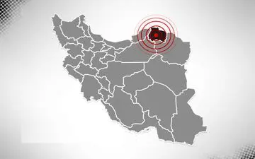 گرگ‌ها در شیروان ۲۵ گوسفند را دریدند