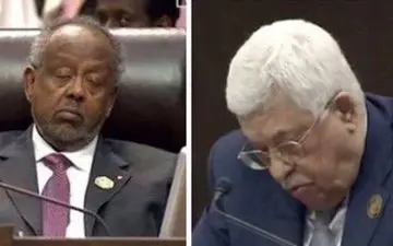  نشست خواب+ تصاویر