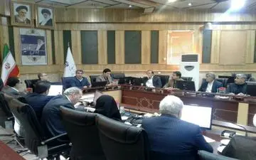 به زودی گوشت منجمد تنظیم بازار در فروشگاههای سطح استان عرضه می شود