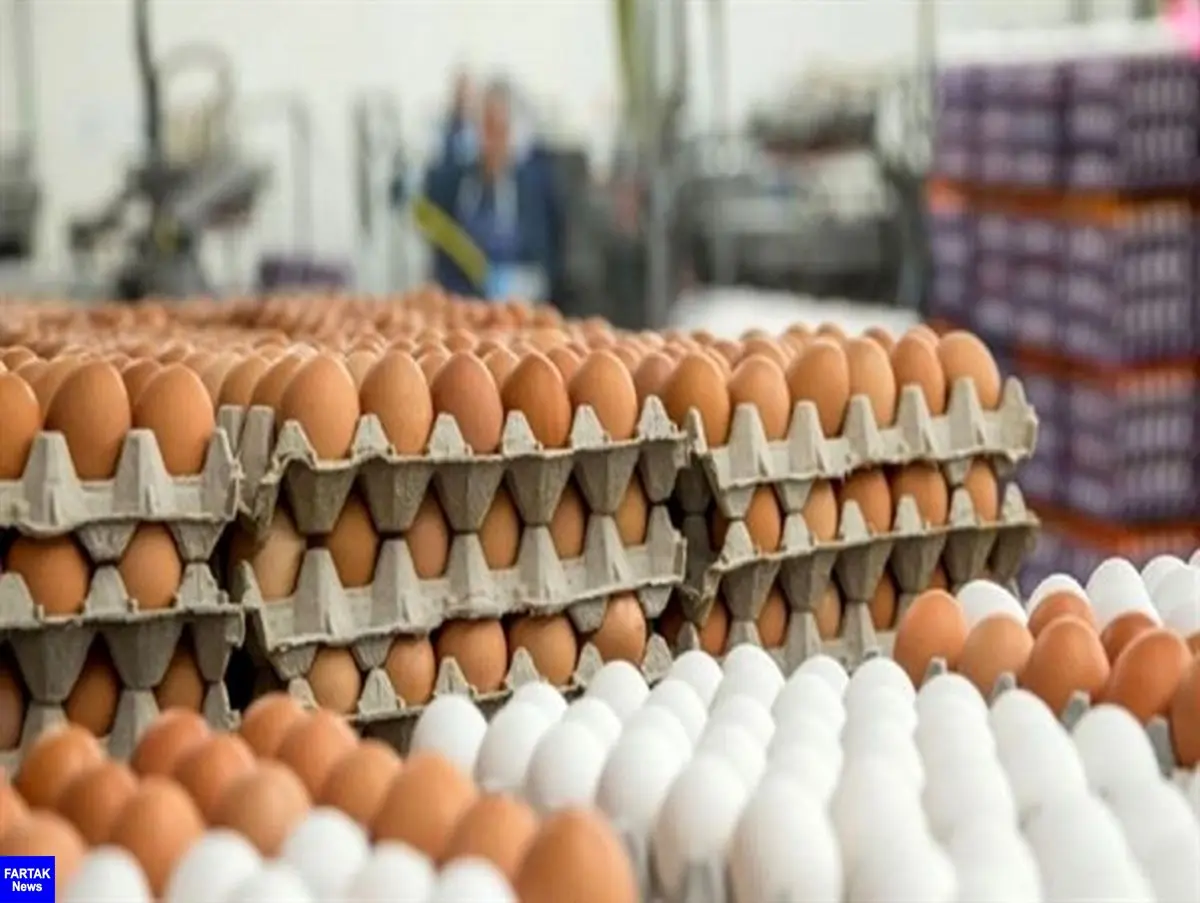 تداوم عرضه تخم‌مرغ کمتر از قیمت مصوب/ ۴۰ هزار تن تخم‌مرغ صادر شد
