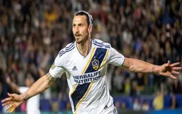 پاسخ منفی ابراهیموویچ به پیشنهاد بولونیا 