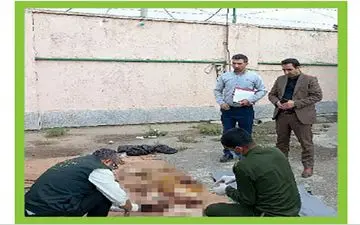 راز سر به مهر جسد مثله شده در مشهد چه بود؟

