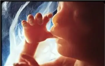 ربوده شدن یک نوزاد از بیمارستانی در همدان