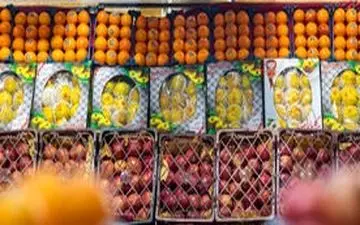 میوه‌ها؛ کلید شگفت‌انگیز سلامت بیشتر ریه‌ها