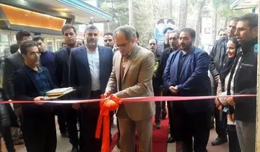 افتتاح بزرگترین نمایشگاه گل و گیاه در کرمانشاه؛ اقدامی ارزشمند در آستانه نوروز 97+ تصاویر