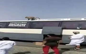 حمله میمون‌ ها به کاروان عمره گذاران عمانی