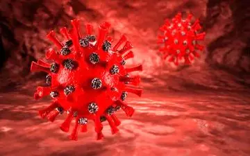  کرمان هم اکنون در وضعیت هشدار / در فضاهای بسته ویروس کرونا می تواند از طریق هوا منتقل شود!