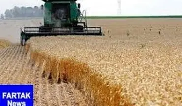 حداقل قیمت گندم سال زراعی جدید ۲۵۵۰ تومان است