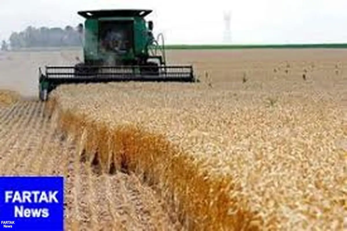 حداقل قیمت گندم سال زراعی جدید ۲۵۵۰ تومان است