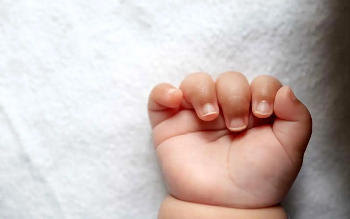 خرید نوزاد 20 روزه در اینستاگرام؛ قیمت: ۱۰۰ میلیون تومان
