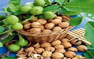 این مواد را بخورید تا اشتهایتان کمتر شود