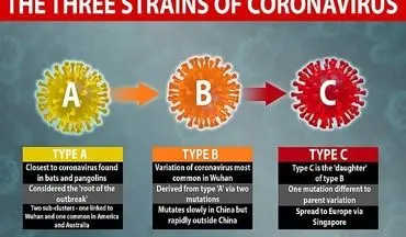 شناسایی ۳ گونه‌ مختلف ویروس کرونا توسط محققان دانشگاه کمبریج
