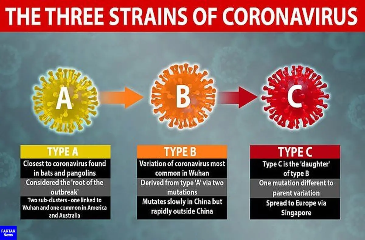 شناسایی ۳ گونه‌ مختلف ویروس کرونا توسط محققان دانشگاه کمبریج
