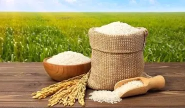 قیمت روز برنج ایرانی درجه یک شمال + جدول ۱۰ شهریور ۱۴۰۴