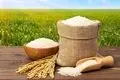 قیمت روز برنج ایرانی درجه یک شمال + جدول ۱۰ شهریور ۱۴۰۴