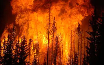 آتشی که به فرشته مرگ مردم کالیفرنیا تبدیل شده است+فیلم