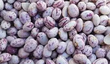  قیمت رسمی لوبیا چیتی اعلام شد (۲۹ شهریور ۱۴۰۴) 