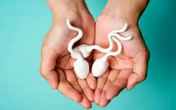 دوام اسپرم در واژن خانم‌ها چه مدت است؟/ آیا ادار باعث خروج می‌شود؟ 