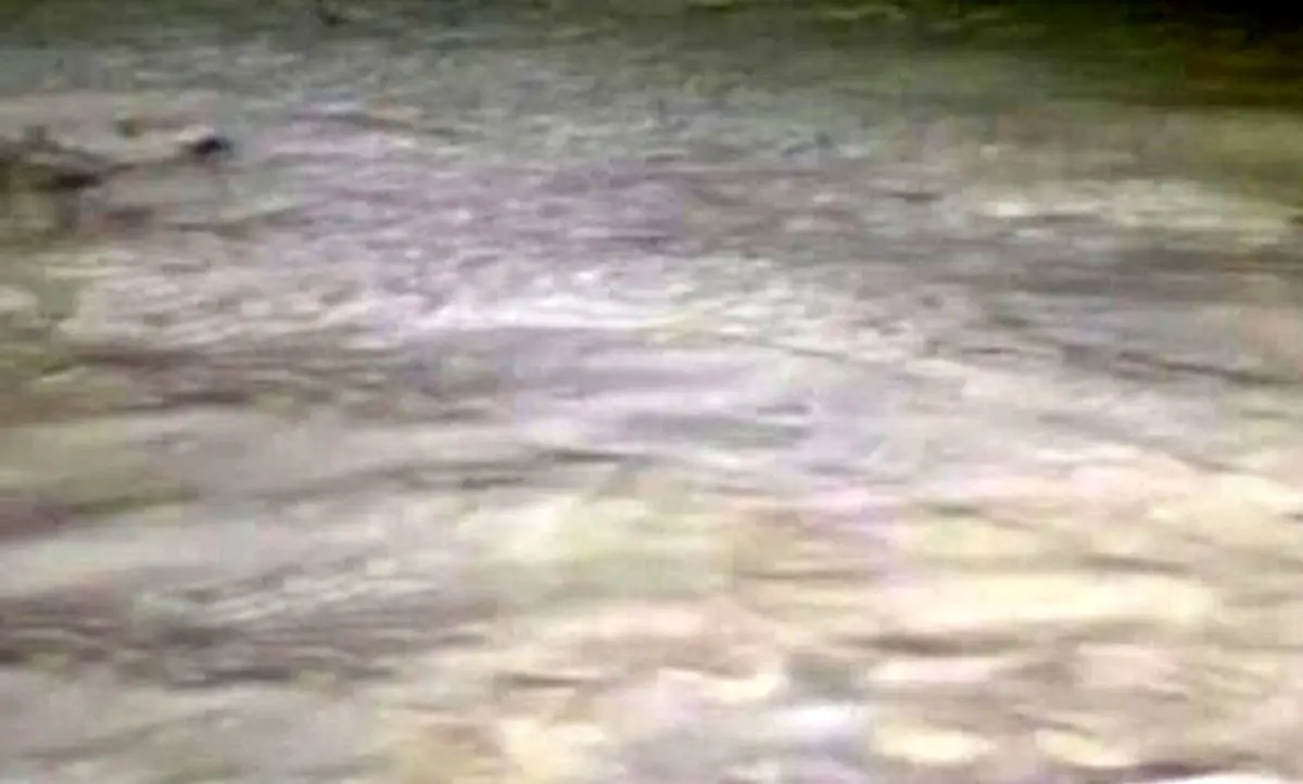 رودخانه دز کف کرد / پدیده عجیب و شوک آور در دزفول