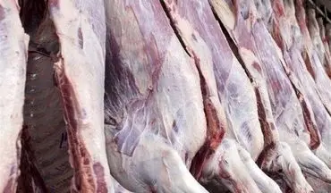 اعلام زمان عرضه گوشت گرم وارداتی در میادین 