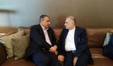 رئیس سازمان انرژی اتمی وارد مسکو شد