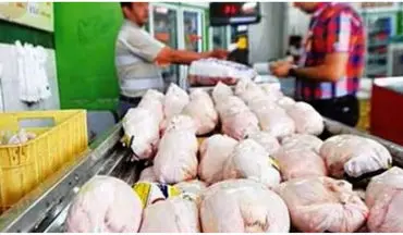 جهش بی سابقه عرضه گوشت مرغ در بازار+ نمودار 