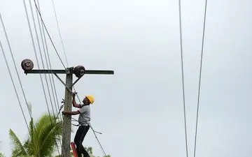 خسارت به خزانه برنج کشاورزان و شالیکاران در مازندران بر اثر توفان