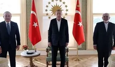 ظریف با اردوغان دیدار کرد