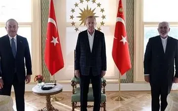 ظریف با اردوغان دیدار کرد