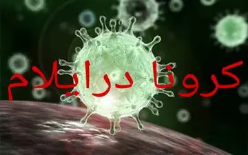 افزایش تعداد مبتلایان به بیماری کرونا در استان به ۲۴۶ مورد
