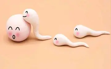 اسپرم می تواند در خون قاعدگی زنده بماند؟

