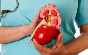 اگر سنگ کلیه دارید، نام این گیاهان را فراموش نکنید 