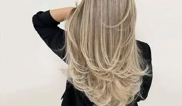 موهایتان بی‌جان شده؟ راز موهای پرپشت و با‌جان در بشقاب غذای شماست!