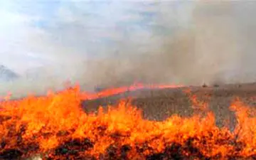 آتش‌سوزی «گاچال» ایوان صبح امروز دوباره شعله‌ور شد