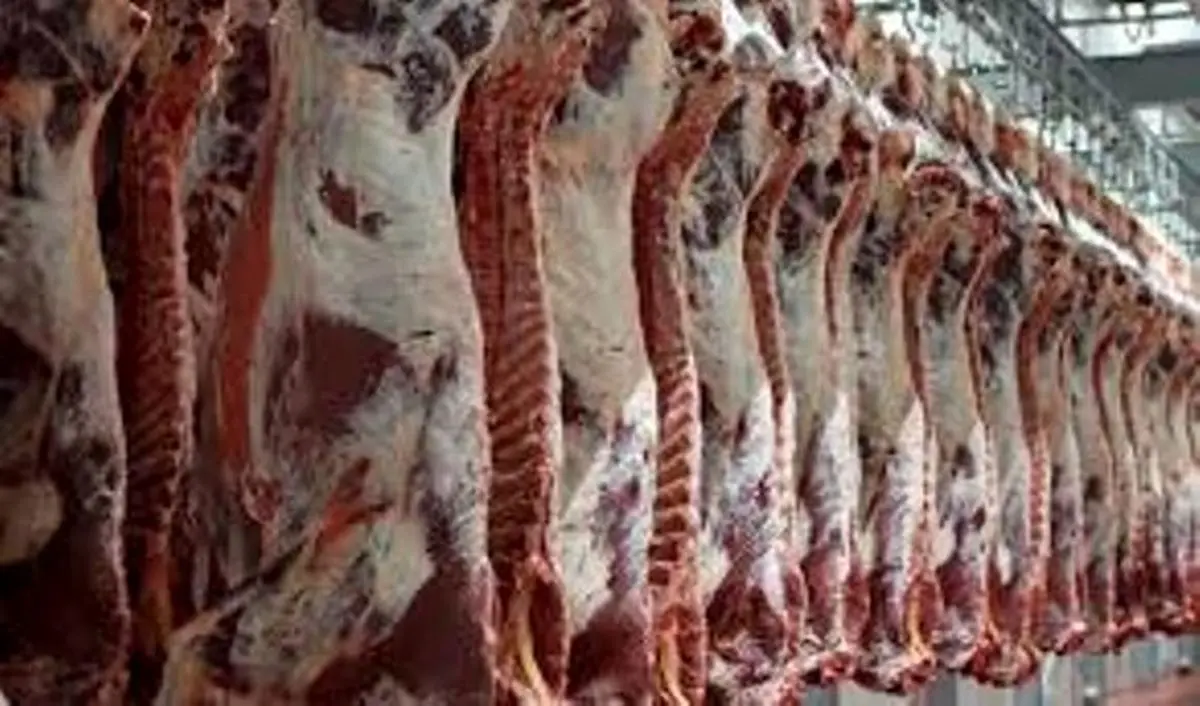 ممنوعیت واردات گوشت قرمز به استان اصفهان