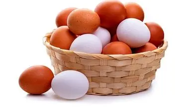 آیا خوردن هر روز تخم‌مرغ مفید است؟