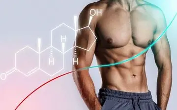 ۴ روش طبیعی برای تقویت هورمون تستوسترون در مردان