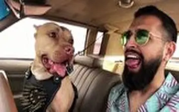 سلبریتی که می‌خواهد به هر قیمتی دیده شود!