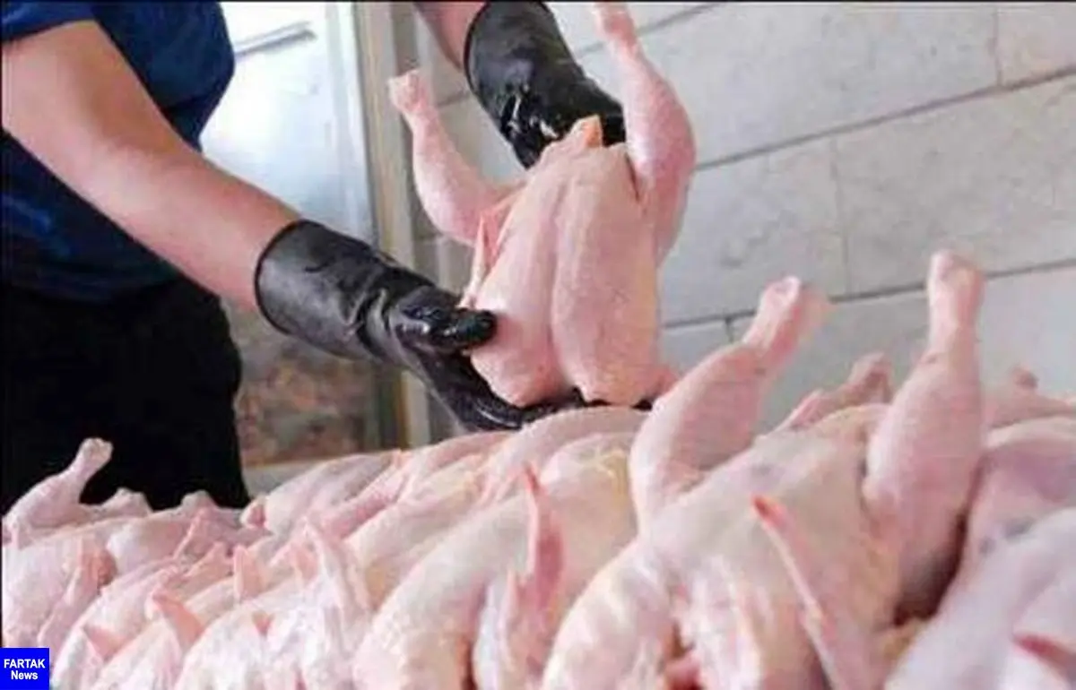 قیمت گوشت مرغ کاهش می‌یابد